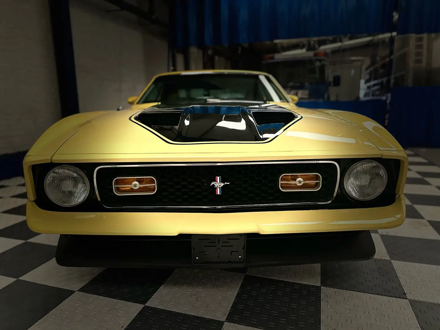 Ford Mustang MACH 1 V8 Žlutá - 2