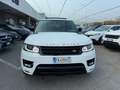 Land Rover Range Rover Sport 3.0 tdV6 HSE EURO 6 / Weiß - thumbnail 2