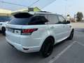 Land Rover Range Rover Sport 3.0 tdV6 HSE EURO 6 / Weiß - thumbnail 4