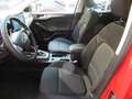 Ford Focus TITANIUM TURNIER 1.0L EB 125PS FGS 5Jahre 50000km Rojo - thumbnail 5