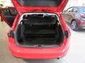 Ford Focus TITANIUM TURNIER 1.0L EB 125PS FGS 5Jahre 50000km Rojo - thumbnail 7