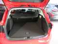 Ford Focus TITANIUM TURNIER 1.0L EB 125PS FGS 5Jahre 50000km Rojo - thumbnail 8
