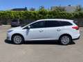 Ford Focus Clipper 1.5 Tdci Business Class 95cv Apple CarPlay Blanc - thumbnail 6