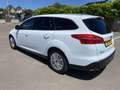 Ford Focus Clipper 1.5 Tdci Business Class 95cv Apple CarPlay Blanc - thumbnail 8