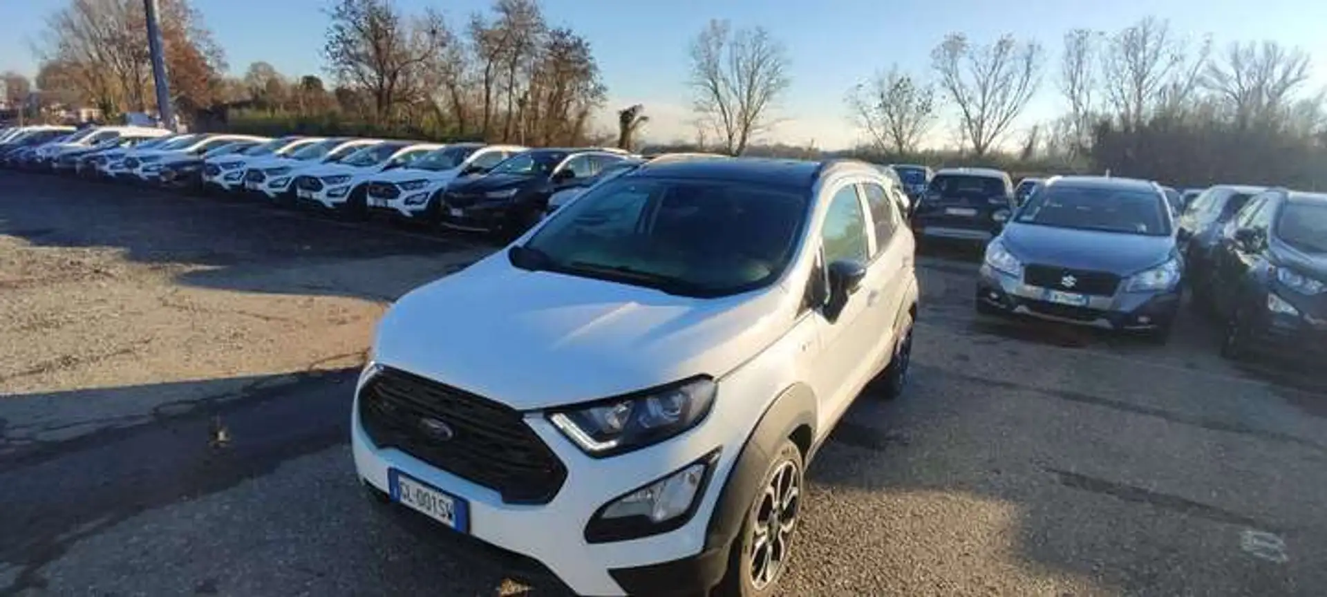 Ford EcoSport NEOPATENTATI EcoSport 1.0 Active TG : GL001SW Blanc - 2