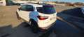 Ford EcoSport NEOPATENTATI EcoSport 1.0 Active TG : GL001SW Blanc - thumbnail 3