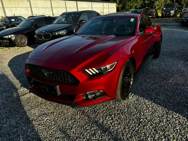 Ford Mustang FULL SERVICE HISTORY * ÉTAT SHOWROOM