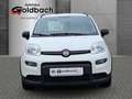 Fiat Panda City Life 1.0 *Klima|Bluetooth* Weiß - thumbnail 2