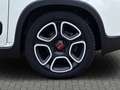 Fiat Panda City Life 1.0 *Klima|Bluetooth* Weiß - thumbnail 4