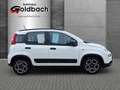 Fiat Panda City Life 1.0 *Klima|Bluetooth* Weiß - thumbnail 10