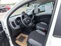 Fiat Panda City Life 1.0 *Klima|Bluetooth* Weiß - thumbnail 11