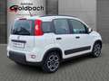 Fiat Panda City Life 1.0 *Klima|Bluetooth* Weiß - thumbnail 9