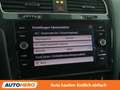 Volkswagen Golf 1.0 TSI Rabbit 40 Aut. *TEMPO*CARPLAY&AUTO*SHZ* Grau - thumbnail 24