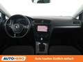 Volkswagen Golf 1.0 TSI Rabbit 40 Aut. *TEMPO*CARPLAY&AUTO*SHZ* Grau - thumbnail 12