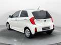 Kia Picanto Spirit AUTOMATIK*SZHZG*LHZG*BLUETOOTH Weiß - thumbnail 3