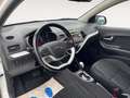 Kia Picanto Spirit AUTOMATIK*SZHZG*LHZG*BLUETOOTH Weiß - thumbnail 5