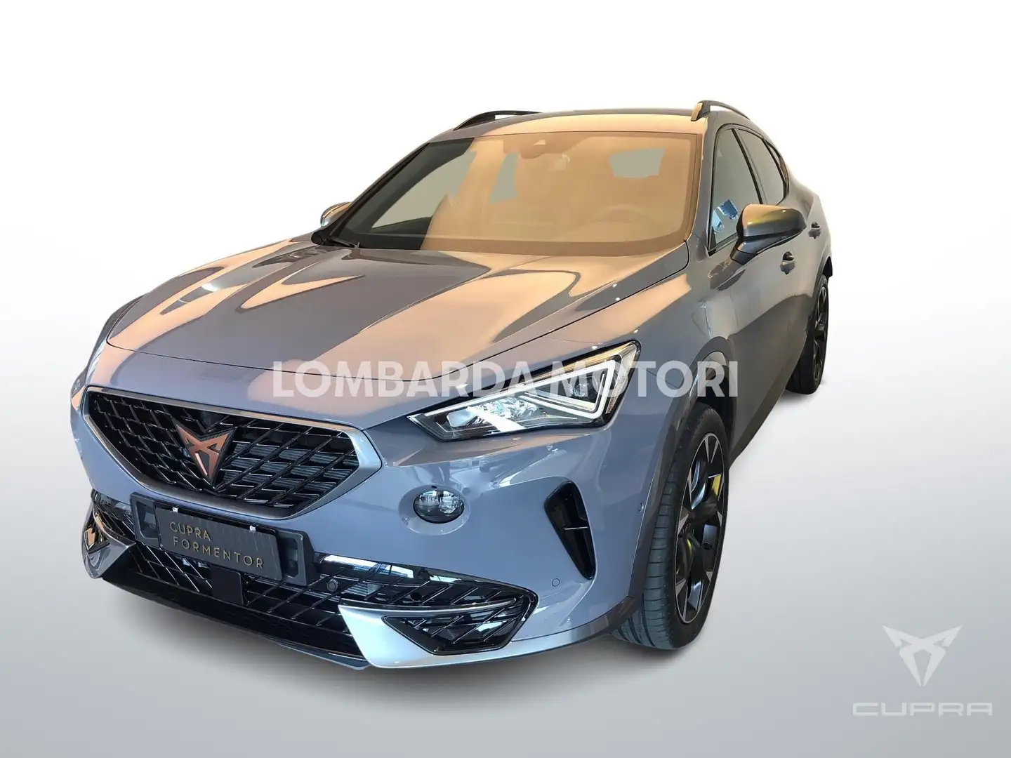 CUPRA Formentor 2.0 TSI 4Drive DSG PRONTA CONSEGNA TAN 4,95% Grigio - 1