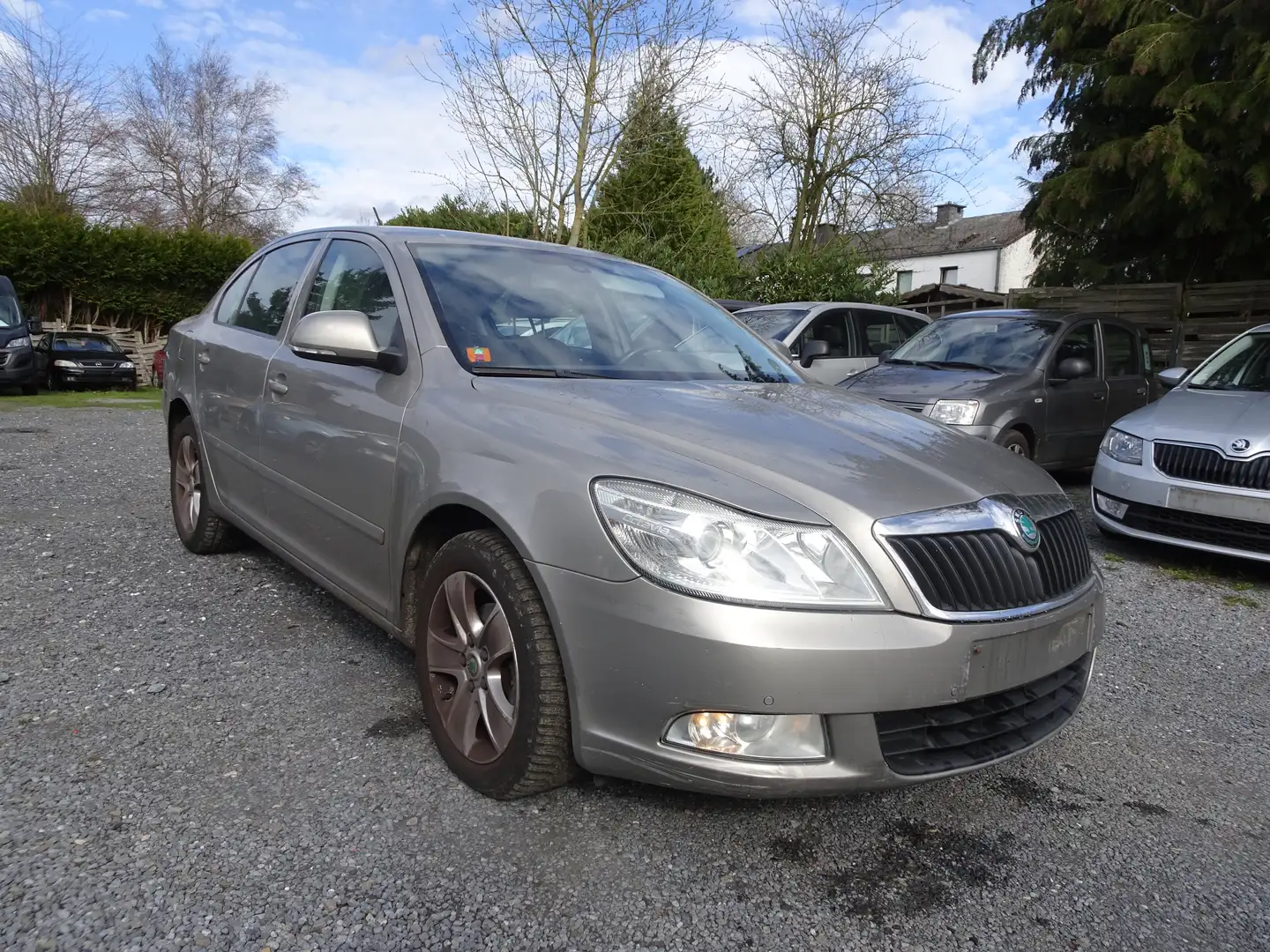 Skoda Octavia Octavia 1.6 CR TDi Elegance DPF Beige - 2
