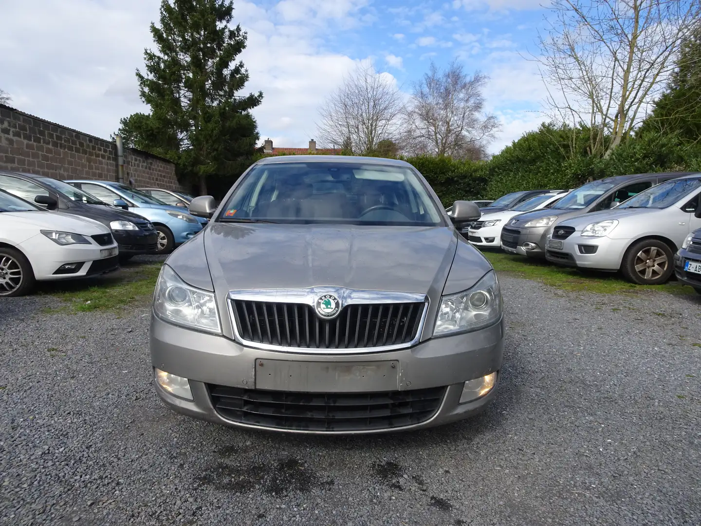 Skoda Octavia Octavia 1.6 CR TDi Elegance DPF Beige - 1