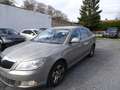 Skoda Octavia Octavia 1.6 CR TDi Elegance DPF Beige - thumbnail 15
