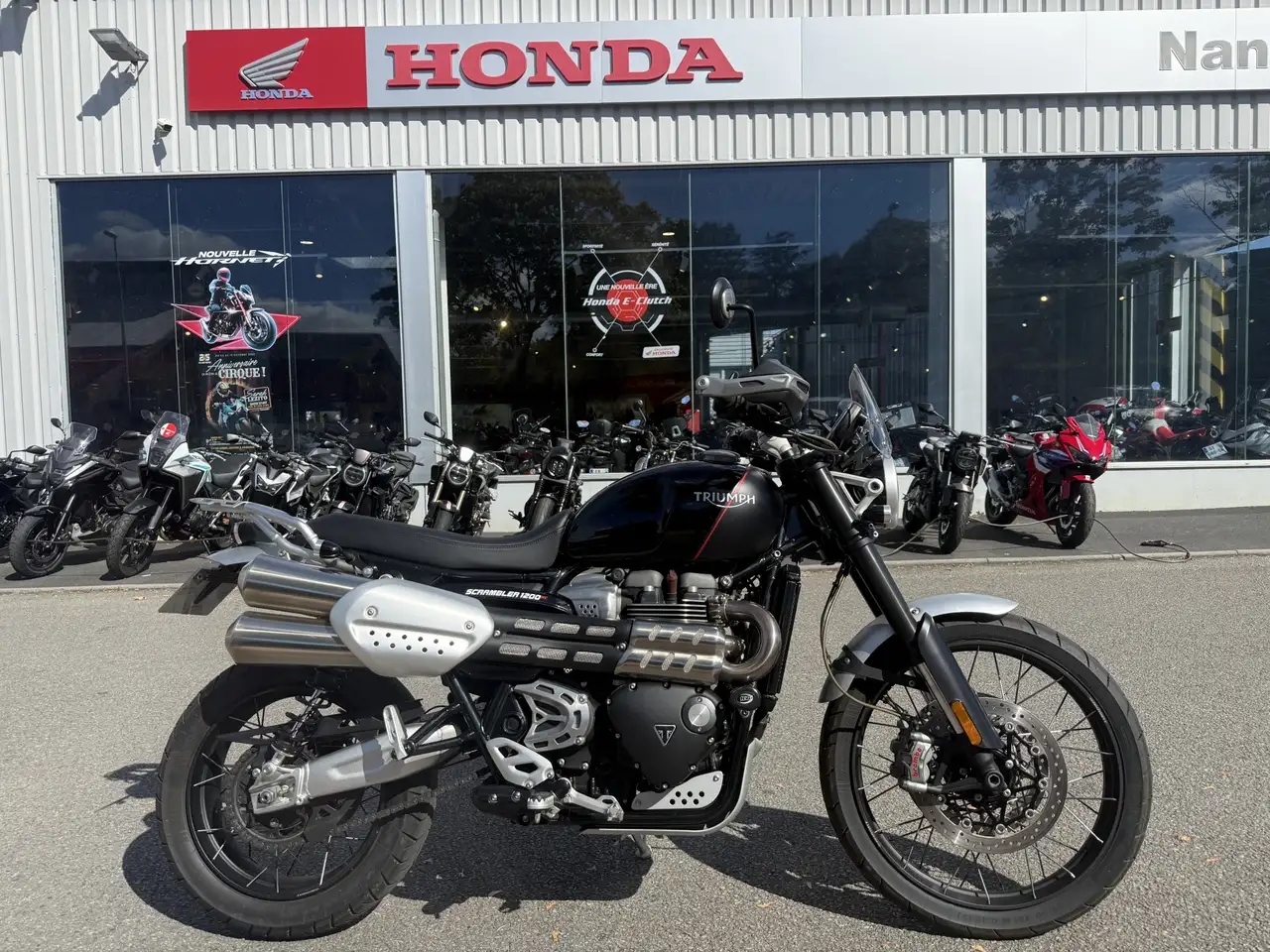 Triumph Scrambler