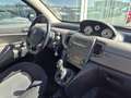 Lancia Y Grau - thumbnail 11