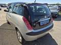 Lancia Y Grau - thumbnail 7