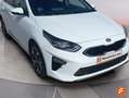 Kia 1.6 MHEV 100kW (136CV) Tech DCT Blanco - thumbnail 15
