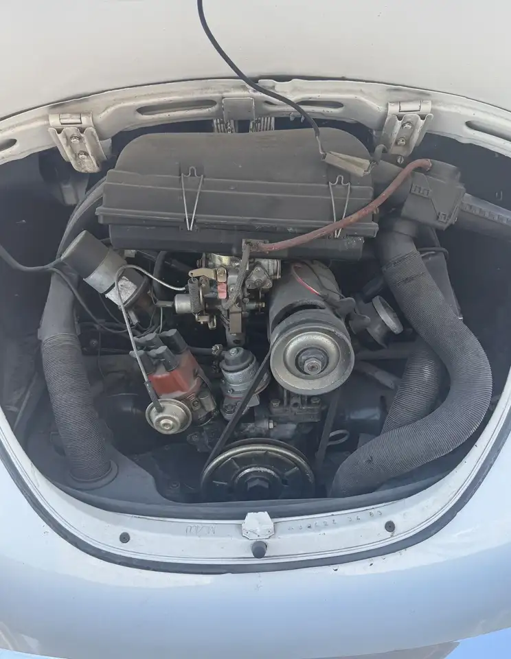 Volkswagen Maggiolino 1.2 L (messico), foto 10
