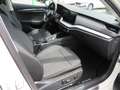 Skoda Octavia Combi Style 1.4TSI iV DSG HeadUp ACC Weiß - thumbnail 30