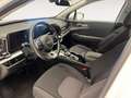 Kia Sportage TODOTERRENO 1.6 T-GDI HEV DRIVE AUTO 230 5P Blanco - thumbnail 9