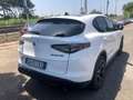 Alfa Romeo Stelvio Stelvio 2.2 t Ti Q4 210cv auto Blanco - thumbnail 6