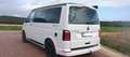 Volkswagen T6 California Transporter T6 4MOTION DSG Weiß - thumbnail 11