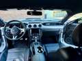 Ford Mustang Mustang Fastback 5.0 ti-vct V8 GT 450cv auto my19 Bianco - thumbnail 12