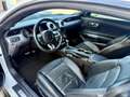 Ford Mustang Mustang Fastback 5.0 ti-vct V8 GT 450cv auto my19 Bianco - thumbnail 15