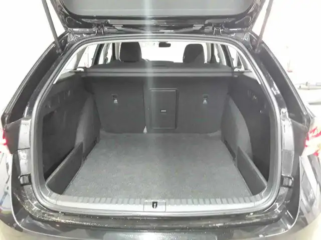 Skoda Octavia view 15