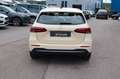 Mercedes-Benz B 180 d 8G-DCT Leder_Navi_LED_Kamera_Distronic Gelb - thumbnail 6