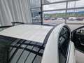Mercedes-Benz A 200 Limousine Progressive Winterp. Weiß - thumbnail 27