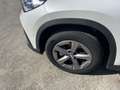 BMW X1 X1 sdrive18d auto,Chilometri Certificati Bianco - thumbnail 4