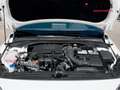 Hyundai i30 1.0 TGDI N Line 100 Blanco - thumbnail 14