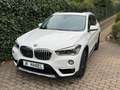 BMW X1 xDrive 25 i xLine*Leder*Pano*LED*Head-Up* Weiß - thumbnail 2