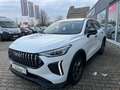 GWM HAVAL Jolion Pro HAVAL Jolion Pro 1.5 Turbo FWD Premium Panorama Weiß - thumbnail 2