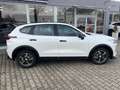 GWM HAVAL Jolion Pro HAVAL Jolion Pro 1.5 Turbo FWD Premium Panorama Weiß - thumbnail 5