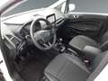 Ford EcoSport 1.0 EcoBoost Titanium Start/Stopp Weiß - thumbnail 9