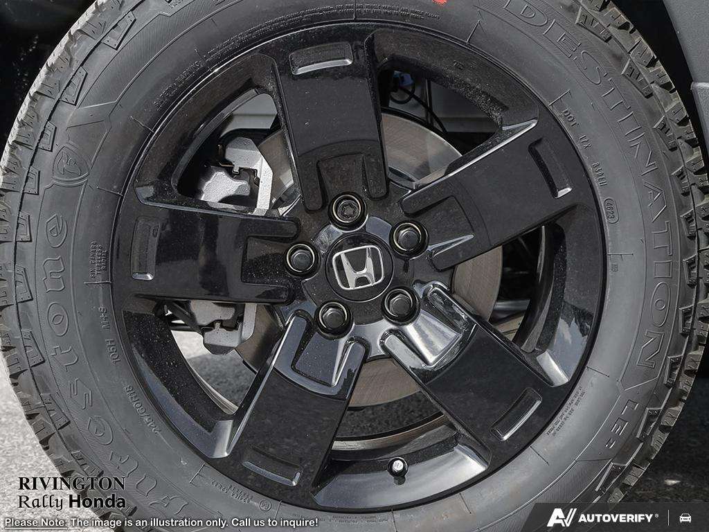 Image 7