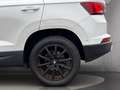 SEAT Ateca 1,6 Style TDI Weiß - thumbnail 17