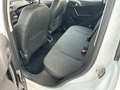 Citroen C3 1.2 puretech Exclusive 82cv E6, NEOPATENTATI OK! Bianco - thumbnail 5