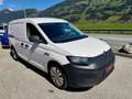 Volkswagen Caddy 2.0 TDI Cargo Maxi 4Motion 1. Besitz Weiß - thumbnail 3