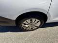 Volkswagen Caddy 2.0 TDI Cargo Maxi 4Motion 1. Besitz Weiß - thumbnail 13