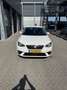 SEAT Ibiza 1.0 TSI Style Wit - thumbnail 3